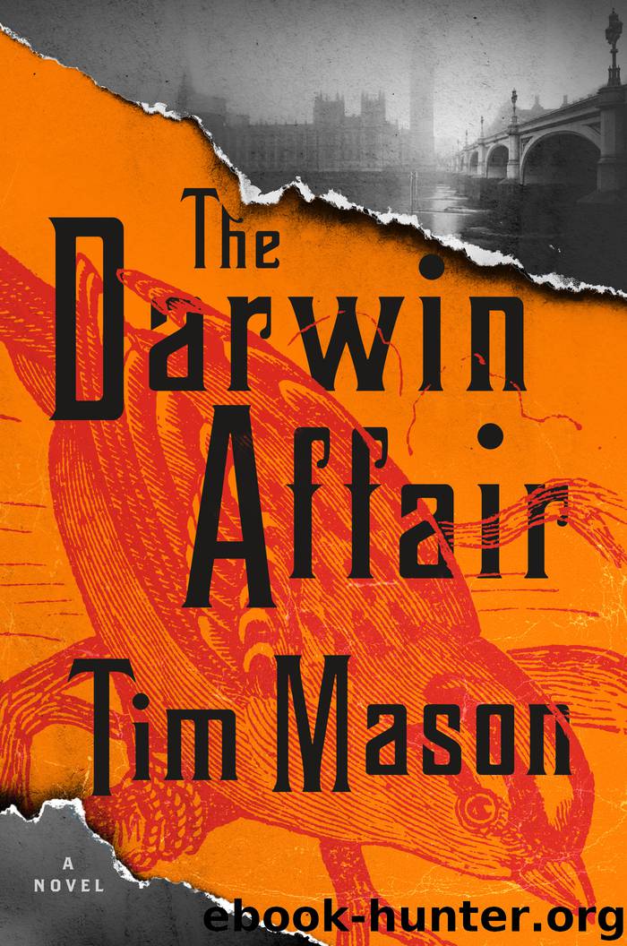 The Darwin Affair by Tim Mason