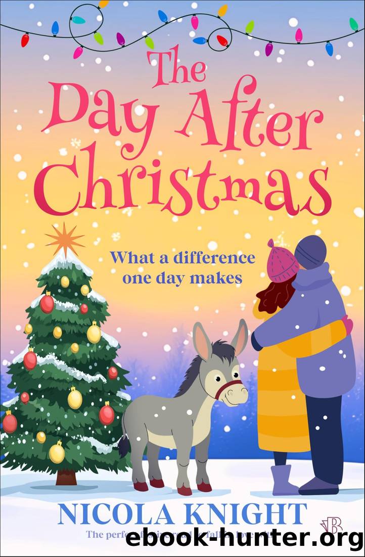 The Day After Christmas by Nicola Knight