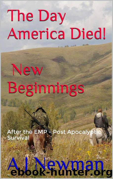 The Day America Died! New Beginnings: Post Apocalyptic Survival - After the EMP by Newman A J