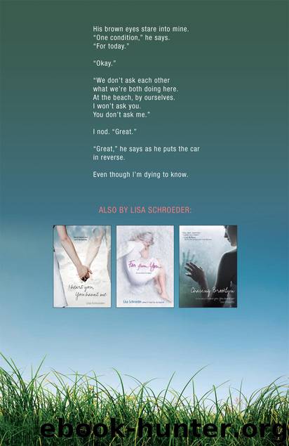 The Day Before by Schroeder Lisa