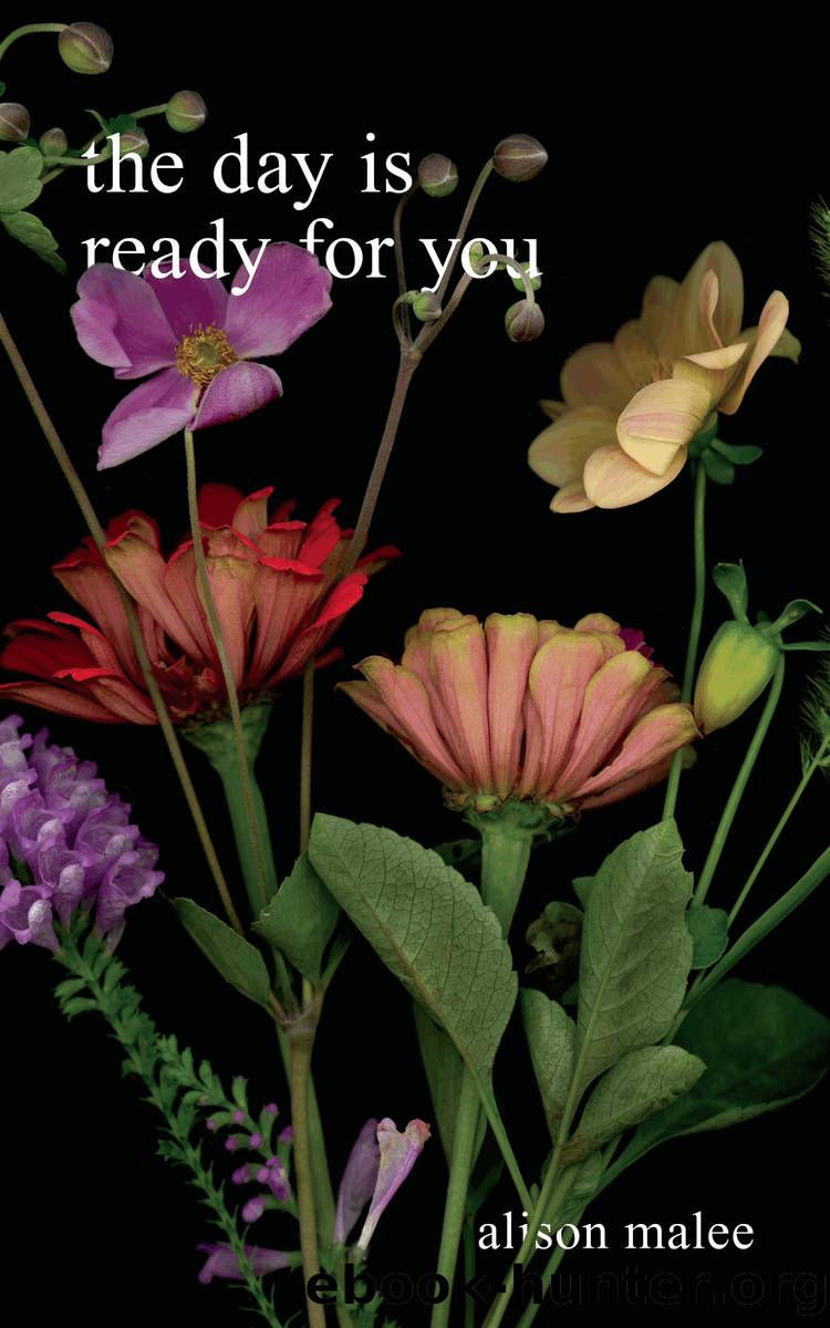 The Day Is Ready for You by Alison Malee