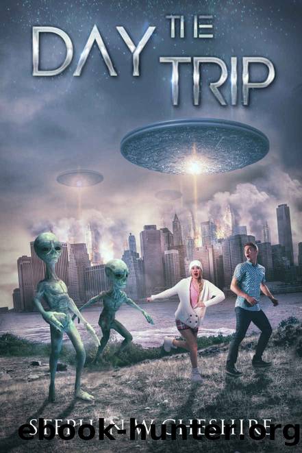 The Day Trip by Stephen W Cheshire