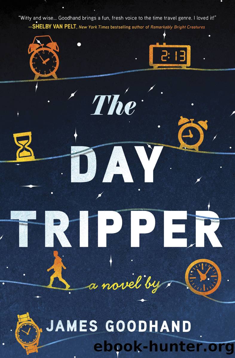 The Day Tripper by James Goodhand