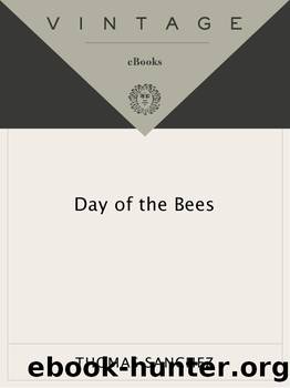 The Day of the Bees by Thomas Sanchez