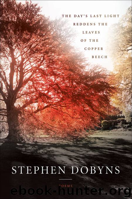The Day's Last Light Reddens the Leaves of the Copper Beech by Dobyns Stephen;
