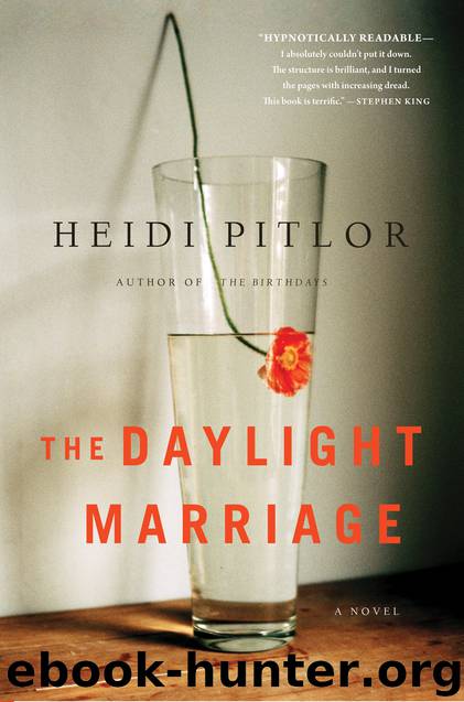 The Daylight Marriage by Heidi Pitlor