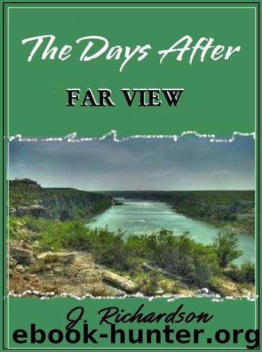 The Days After (Far View) by Richardson J