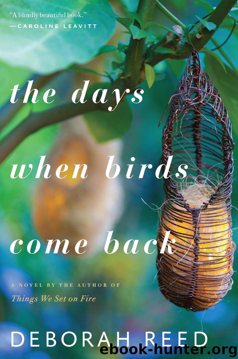 The Days When Birds Come Back by Deborah Reed
