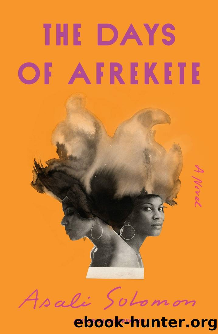 The Days of Afrekete: A Novel by Asali Solomon