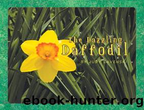 The Dazzling Daffodil by Judy Lavenski