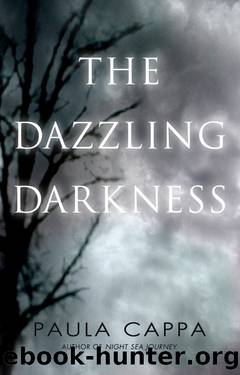 The Dazzling Darkness by Paula Cappa