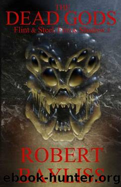 The Dead Gods: Flint & Steel, Fire & Shadow 2 by Rob Bayliss