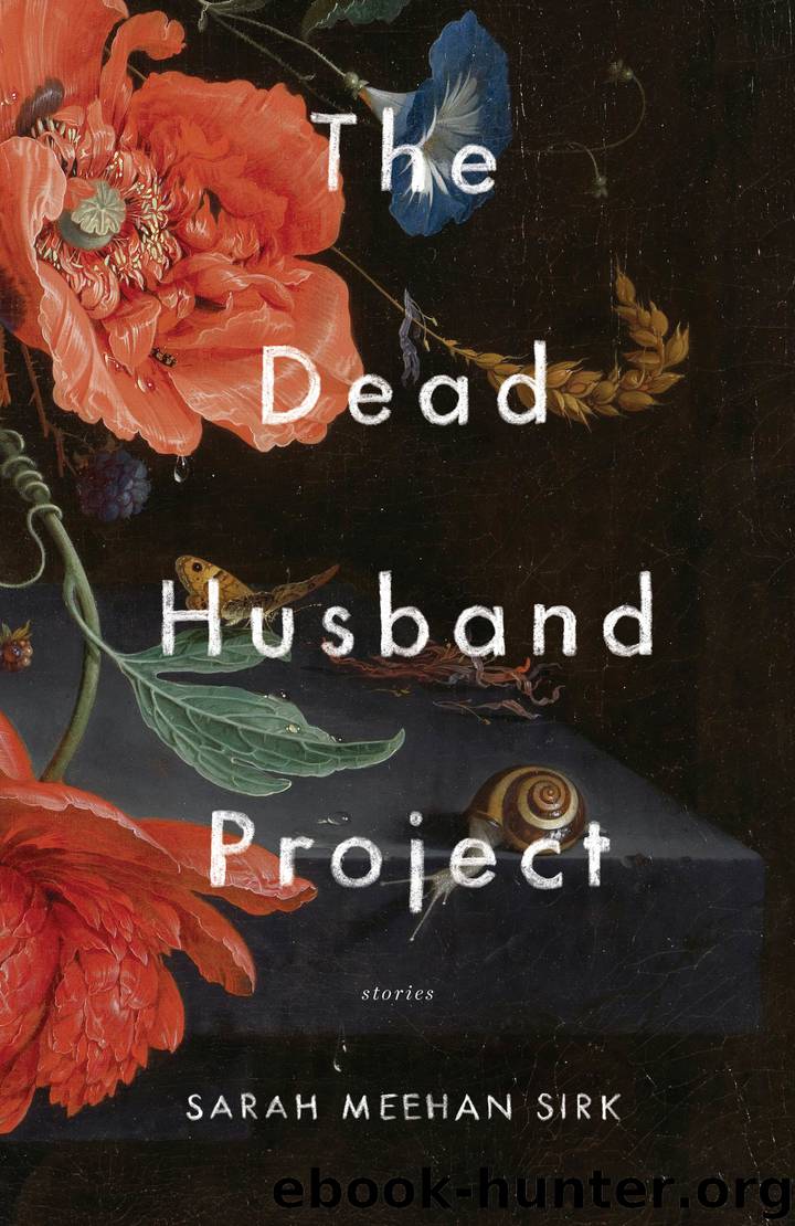 The Dead Husband Project by Sarah Meehan Sirk