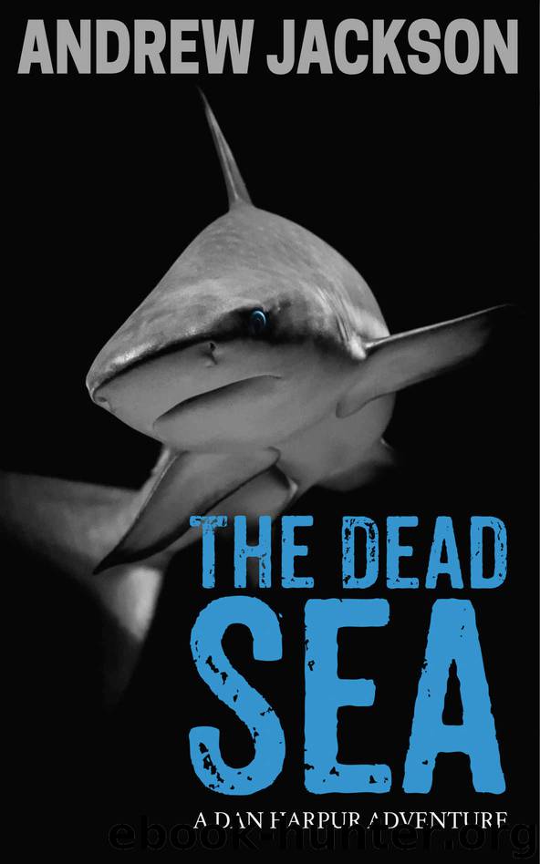 The Dead Sea by Andrew Jackson