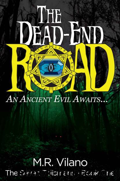 The Dead-End Road by M R Vilano