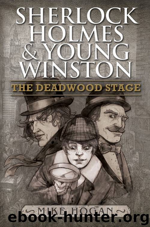 The Deadwood Stage by Mike Hogan