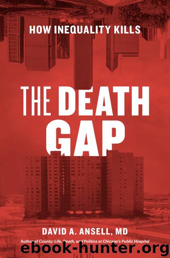 The Death Gap by David A. Ansell MD