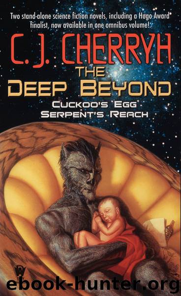 The Deep Beyond by C. J. Cherryh