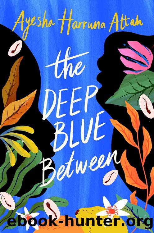 The Deep Blue Between by Ayesha Harruna Attah