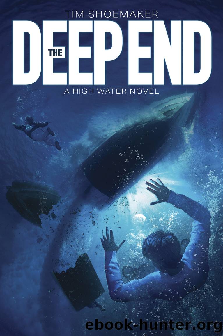The Deep End by Tim Shoemaker