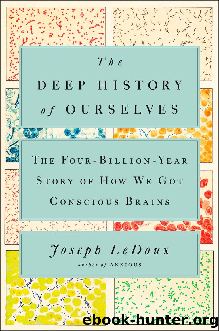 The Deep History of Ourselves by Joseph LeDoux