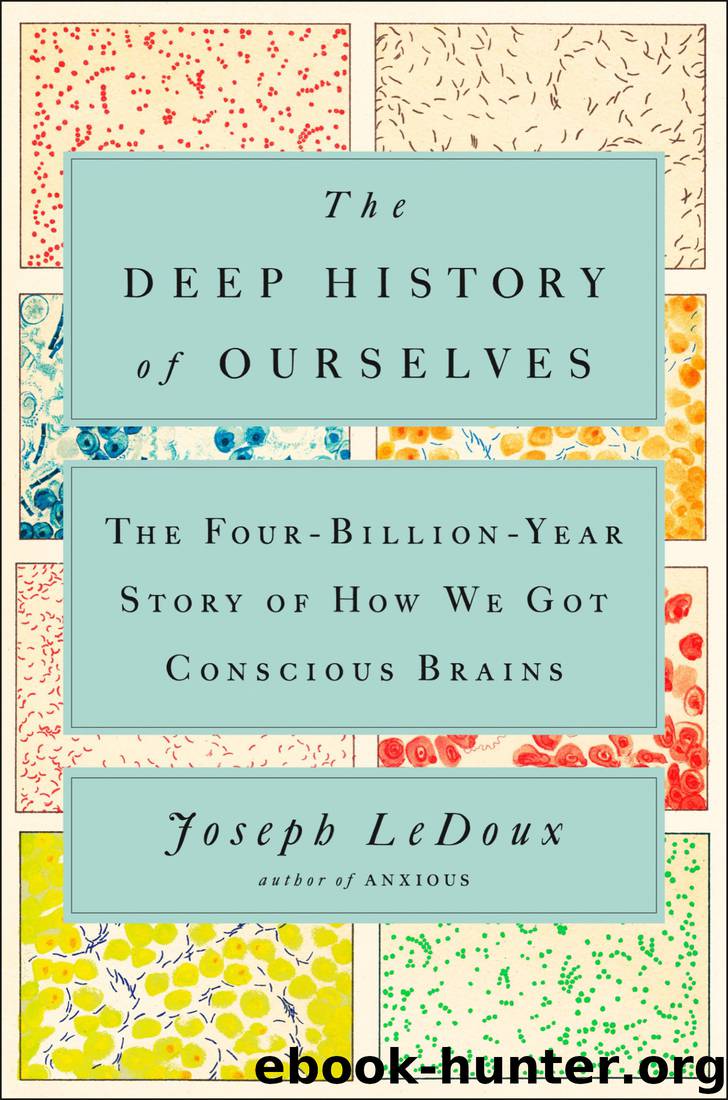 The Deep History of Ourselves: The Four-Billion-Year Story of How We Got Conscious Brains by Joseph LeDoux
