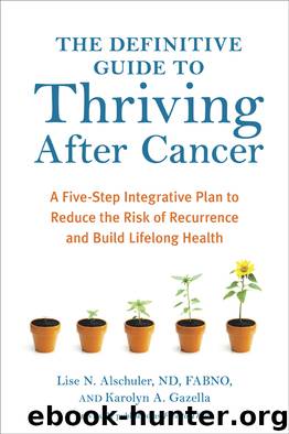 The Definitive Guide to Thriving After Cancer by Lise N. Alschuler
