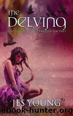 The Delving by Jes Young