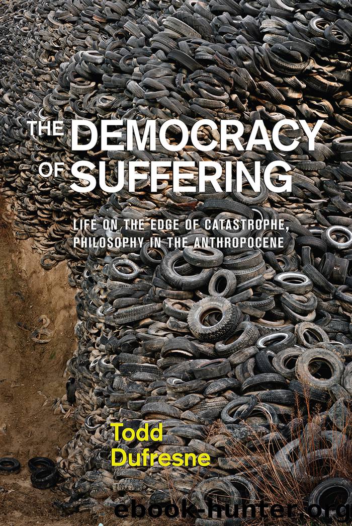 The Democracy of Suffering by Todd Dufresne