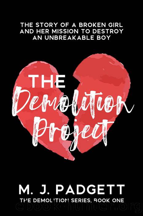 The Demolition Project by M. J. Padgett