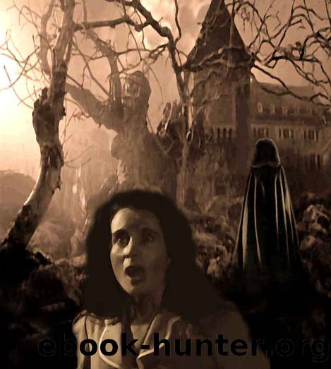 The Demon of Dartmoor by Halter Paul