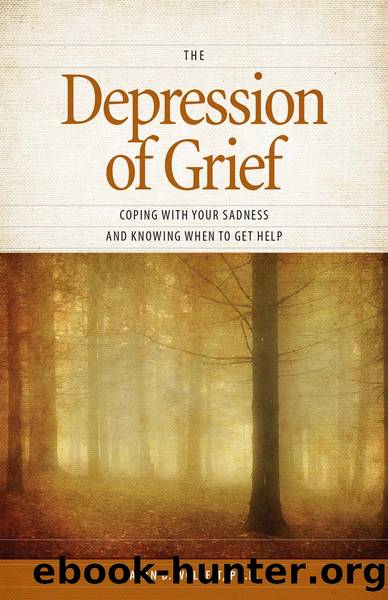 The Depression of Grief by Alan D Wolfelt