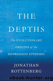 The Depths by Rottenberg Jonathan