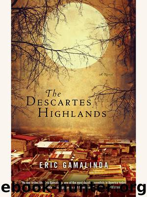 The Descartes Highlands by Eric Gamalinda