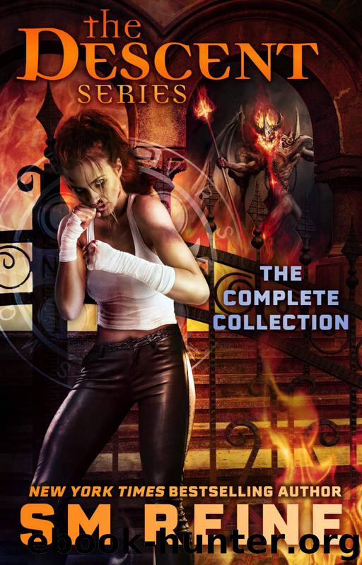 The Descent Series Complete Collection by S M Reine