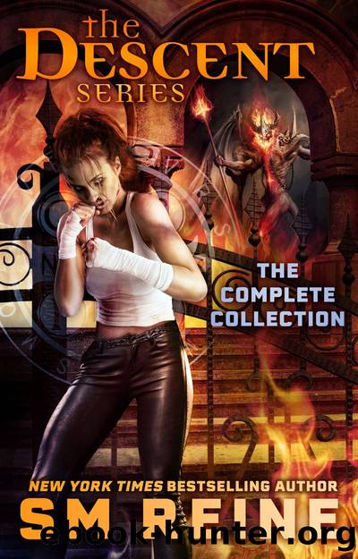 The Descent Series Complete Collection by SM Reine