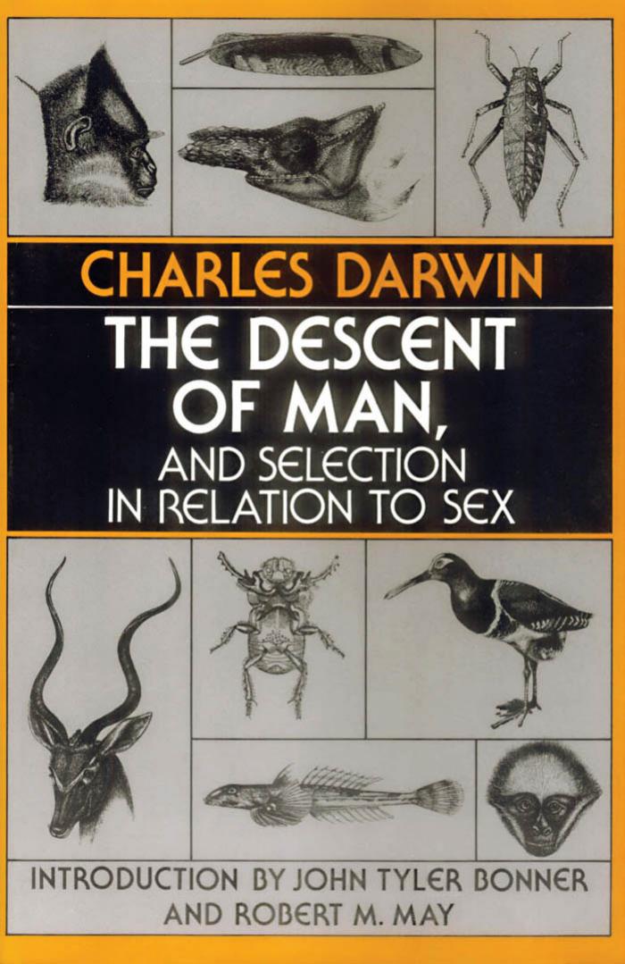 The Descent of Man, and Selection in Relation to Sex by Charles Darwin