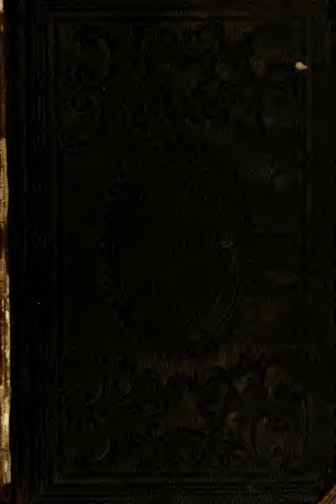 The Desert Home, or, The adventures of a lost family in the wilderness by Reid Mayne 1818-1883