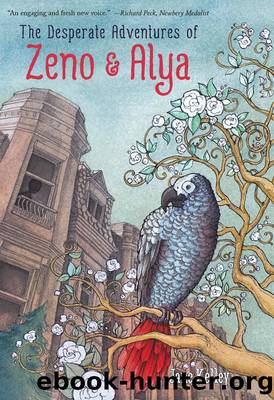 The Desperate Adventures of Zeno and Alya by Jane Kelley
