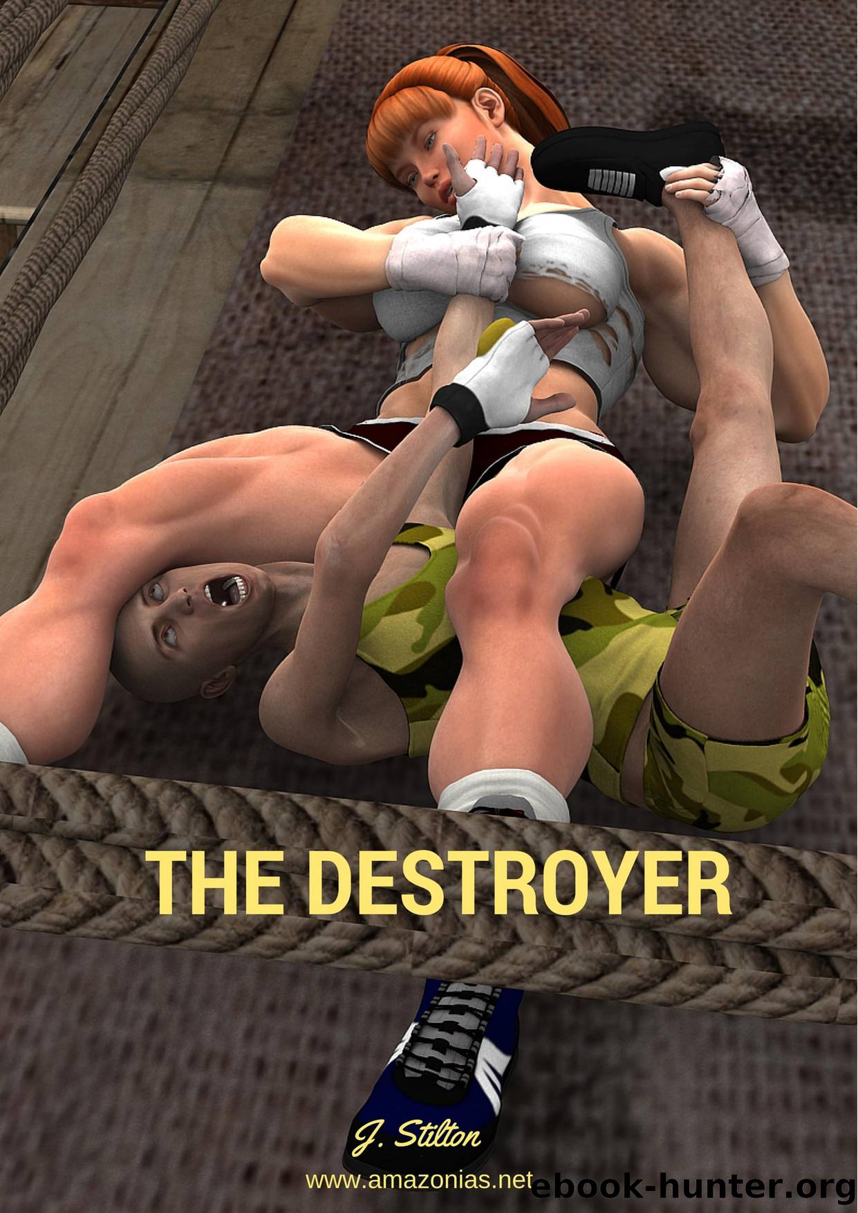 The Destroyer by Unknown