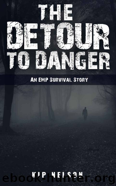 The Detour To Danger: An EMP Survival Story (EMP Crash Book 3) by Kip Nelson