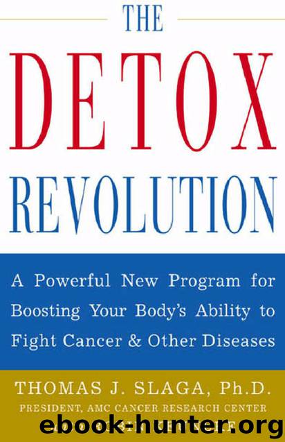 The Detox Revolution by Thomas J. Slaga;Robin Keuneke