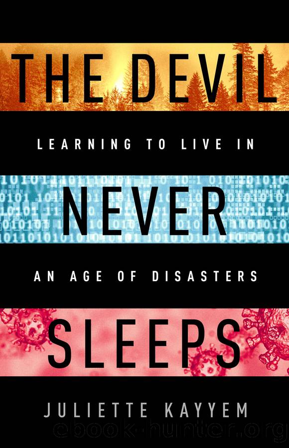 The Devil Never Sleeps by Juliette Kayyem