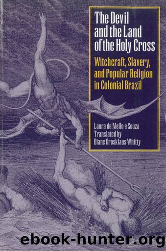 The Devil and the Land of the Holy Cross by Laura de Mello e Souza