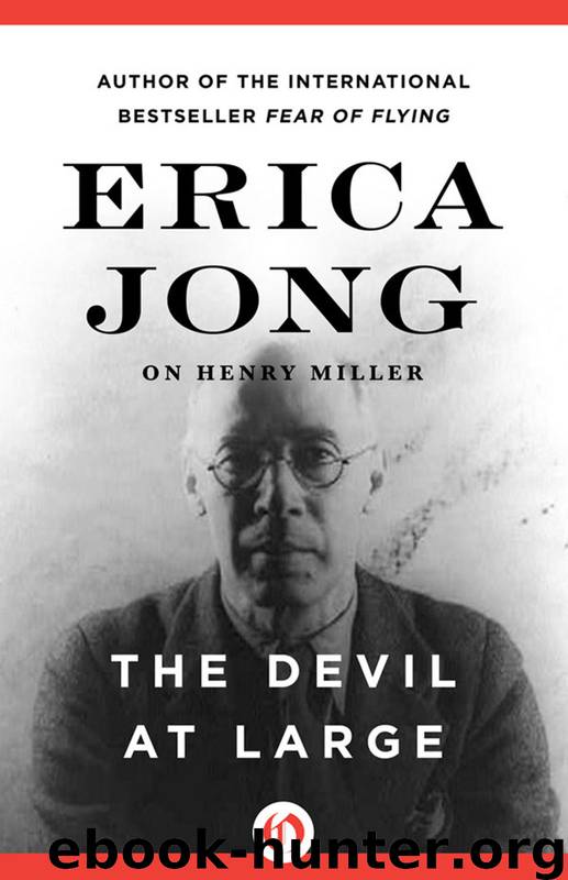 The Devil at Large by Erica Jong