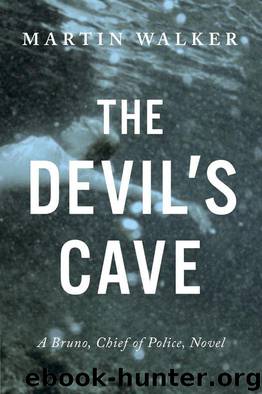 The Devil's Cave by Martin Walker