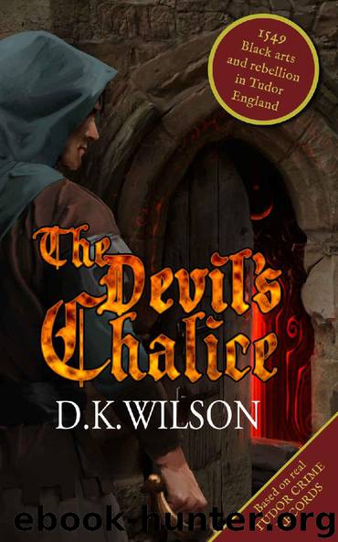 The Devil's Chalice by D K Wilson