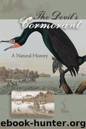 The Devil's Cormorant by Richard J. King