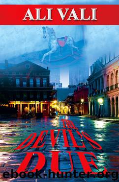 The Devil's Due by Ali Vali