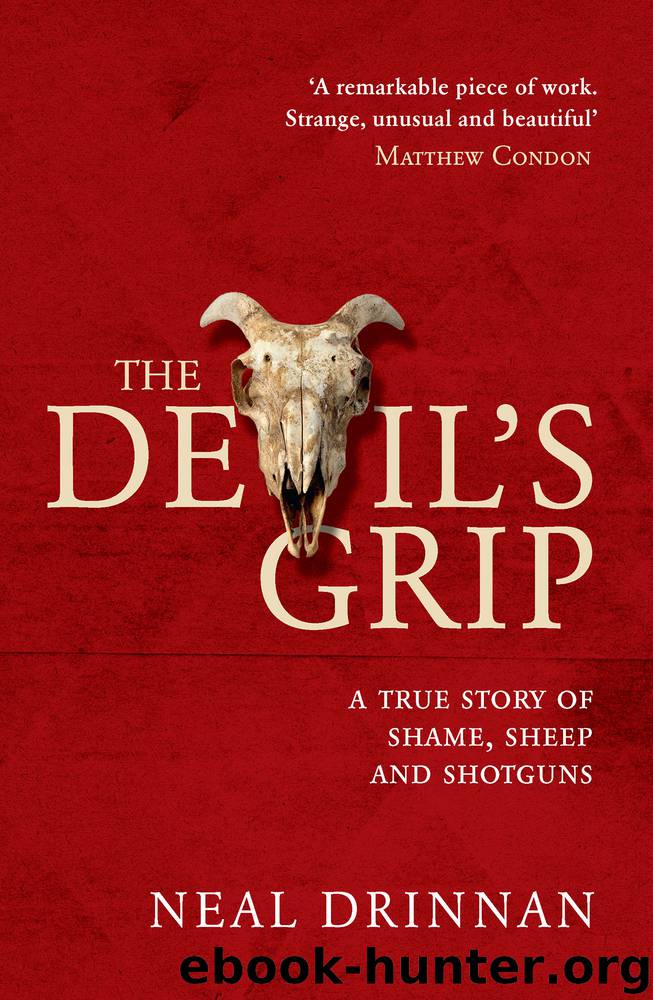 The Devil's Grip by Neal Drinnan